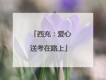 西充：爱心送考在路上