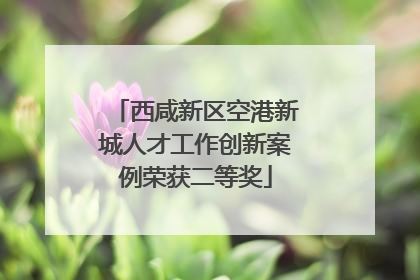 西咸新区空港新城人才工作创新案例荣获二等奖