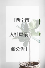 西宁市人社局最新公告