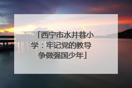 西宁市水井巷小学：牢记党的教导 争做强国少年