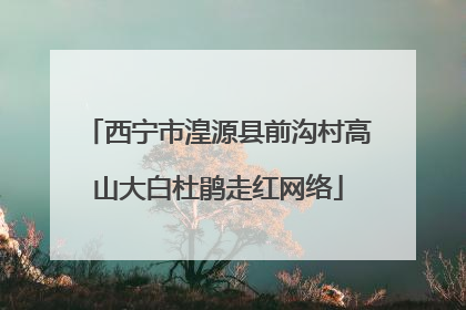 西宁市湟源县前沟村高山大白杜鹃走红网络
