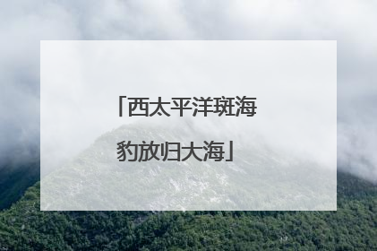 西太平洋斑海豹放归大海