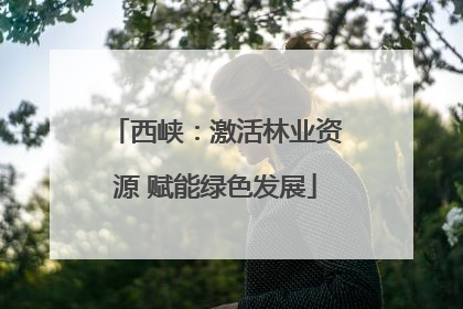 西峡：激活林业资源 赋能绿色发展