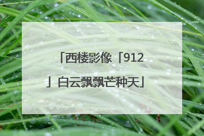 西楼影像「912」白云飘飘芒种天
