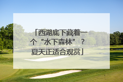 西湖底下藏着一个“水下森林”？夏天正适合观赏