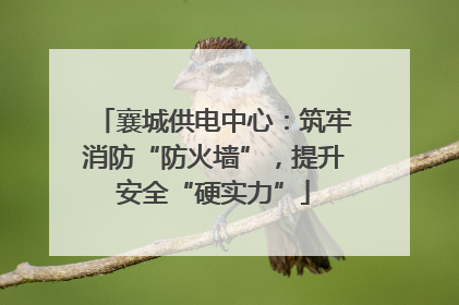 襄城供电中心：筑牢消防“防火墙”，提升安全“硬实力”