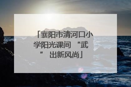 襄阳市清河口小学阳光课间 “武” 出新风尚