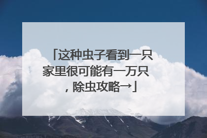 这种虫子看到一只家里很可能有一万只，除虫攻略→