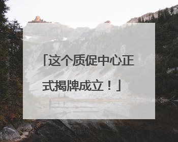 这个质促中心正式揭牌成立！