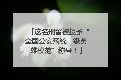 这名刑警被授予“全国公安系统二级英雄模范”称号！