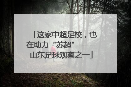 这家中超足校，也在助力“苏超”——山东足球观察之一