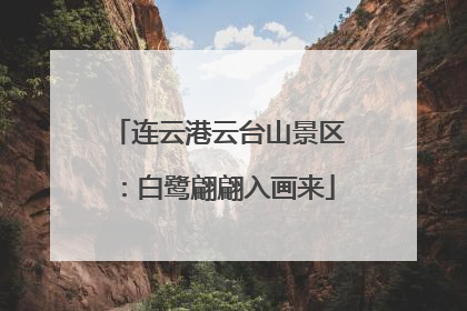 连云港云台山景区：白鹭翩翩入画来