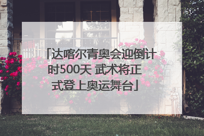 达喀尔青奥会迎倒计时500天 武术将正式登上奥运舞台