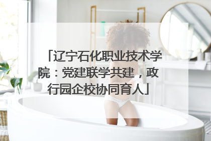 辽宁石化职业技术学院：党建联学共建，政行园企校协同育人