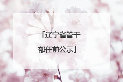 辽宁省管干部任前公示
