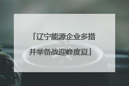 辽宁能源企业多措并举备战迎峰度夏