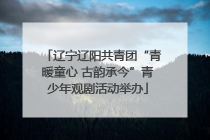 辽宁辽阳共青团“青暖童心 古韵承今”青少年观剧活动举办