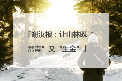 谢汝根：让山林既“常青”又“生金”