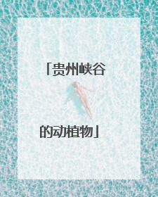 贵州峡谷的动植物