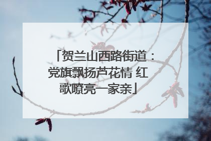 贺兰山西路街道：党旗飘扬芦花情 红歌嘹亮一家亲