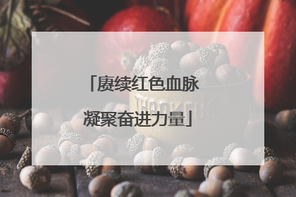 赓续红色血脉 凝聚奋进力量
