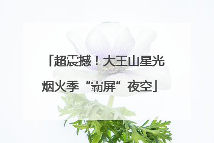 超震撼！大王山星光烟火季“霸屏”夜空