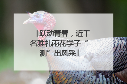 跃动青春，近千名雅礼雨花学子“测”出风采