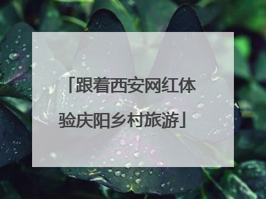 跟着西安网红体验庆阳乡村旅游