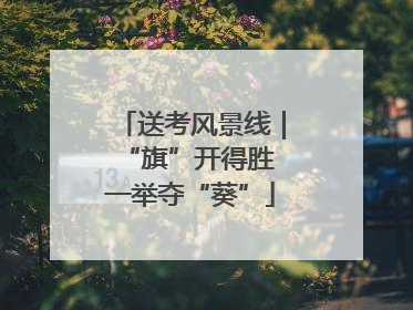 送考风景线｜“旗”开得胜 一举夺“葵”