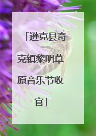 逊克县奇克镇黎明草原音乐节收官