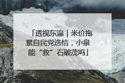 透视东瀛｜米价拖累自民党选情，小泉能“救”石破茂吗