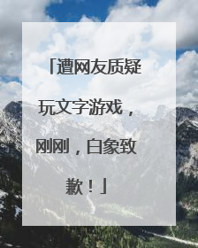 遭网友质疑玩文字游戏，刚刚，白象致歉！