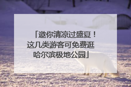 邀你清凉过盛夏！这几类游客可免费逛哈尔滨极地公园
