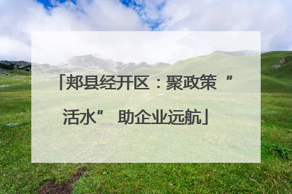 郏县经开区：聚政策“活水” 助企业远航
