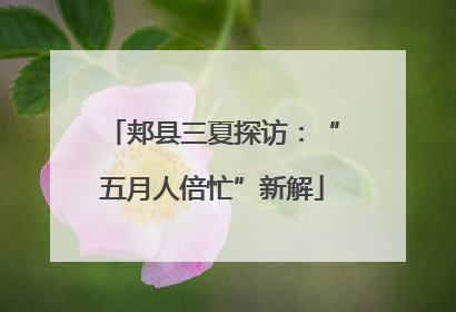 郏县三夏探访：“五月人倍忙”新解
