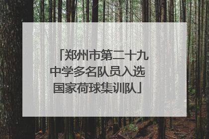 郑州市第二十九中学多名队员入选国家荷球集训队