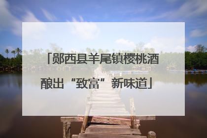 郧西县羊尾镇樱桃酒酿出“致富”新味道