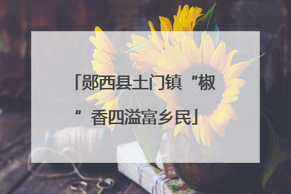 郧西县土门镇“椒”香四溢富乡民