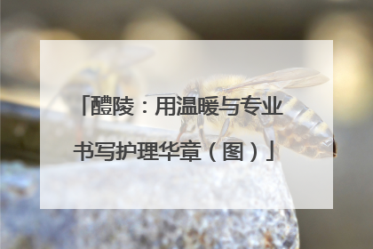 醴陵：用温暖与专业 书写护理华章（图）