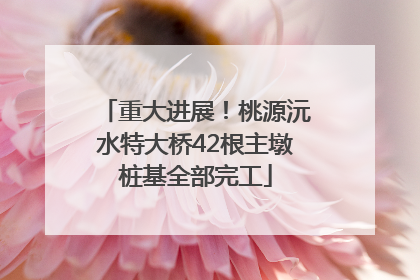 重大进展！桃源沅水特大桥42根主墩桩基全部完工