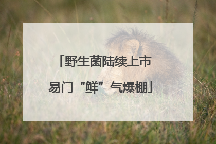 野生菌陆续上市 易门“鲜”气爆棚