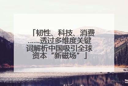 韧性、科技、消费……透过多维度关键词解析中国吸引全球资本“新磁场”