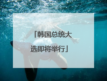 韩国总统大选即将举行