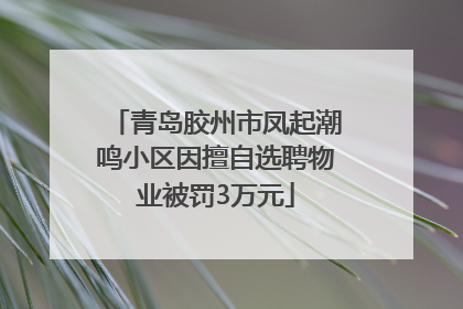 青岛胶州市凤起潮鸣小区因擅自选聘物业被罚3万元