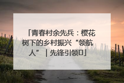 青春村余先兵：樱花树下的乡村振兴“领航人”｜先锋引领⑪