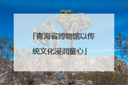 青海省博物馆以传统文化浸润童心