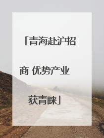 青海赴沪招商 优势产业获青睐