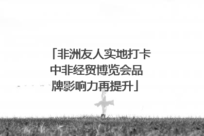 非洲友人实地打卡 中非经贸博览会品牌影响力再提升