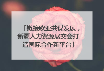 链接欧亚共谋发展，新疆人力资源展交会打造国际合作新平台