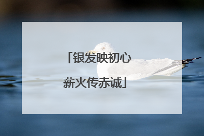 银发映初心 薪火传赤诚
